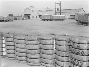 Kaweah Delta Cooperative cotton gin and yard, Tulare County, CA, 1938. Creator: Dorothea Lange.