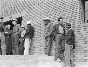 Mexicans, field laborers, on strike in cotton picking season, Bakersfield, California, 1938. Creator: Dorothea Lange.