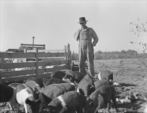 Farm Security Administration (FSA) rural rehabilitation client, Tulare County, California, 1938. Creator: Dorothea Lange.