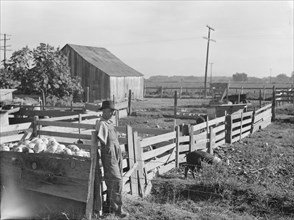 FSA rural rehabilitation client, Tulare County, California, 1938. Creator: Dorothea Lange.