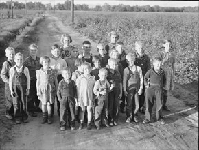 Ten families established by the FSA on the Mineral King Cooperative Farm, Tulare County, CA, 1938. Creator: Dorothea Lange.