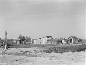 Family from Arkansas with large vegetable garden and small house, Tulare County, California, 1938. Creator: Dorothea Lange.