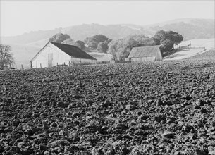 Stock ranch and plowed field, Contra Costa County, California, 1938. Creator: Dorothea Lange.