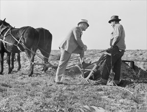 Purchasing farm under Bankhead-Jones Act, near Stockton, California, November 17, 1938. Creator: Dorothea Lange.
