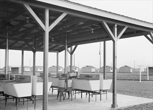Laundry facilities at Westley camp for migratory labor, San Joaquin Valley, California, 1938. Creator: Dorothea Lange.