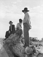 Migratory laborers, near Shafter, California, 1938. Creator: Dorothea Lange.
