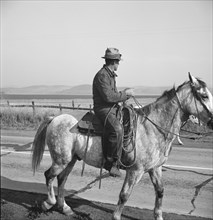 Cowboy coming in from the hills, San Luis Obispo County, California, 1938. Creator: Dorothea Lange.