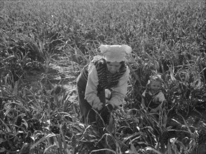 Wife of formerly rehabilitation client now operating own farm, near Manteca, CA, 1938. Creator: Dorothea Lange.