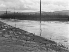 U.S. 101 near San Juan Bautista, California, 1939. Creator: Dorothea Lange.