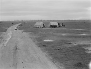 Camp of two related families seen from U.S. 99., Kern County, California, 1939. Creator: Dorothea Lange.