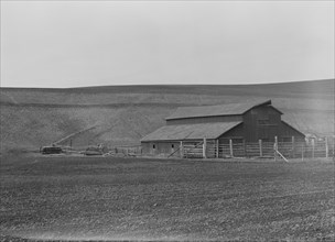 Small dairy farm near Santa Maria, California, 1939. Creator: Dorothea Lange.