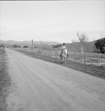 Cowboy coming in from the hills, San Luis Obispo County, California, 1939. Creator: Dorothea Lange.
