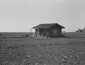 On the plains west of Fresno, California, 1939. Creator: Dorothea Lange.
