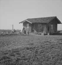 On the plains west of Fresno, California , 1939. Creator: Dorothea Lange.