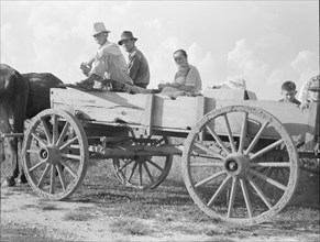 Horse and wagon is still a common means of transportation..., Southeast Missouri Farms, 1938. Creator: Dorothea Lange.