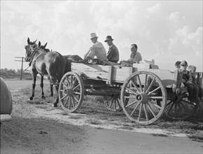 Horse and wagon is still a common means of transportation..., Southeast Missouri Farms, 1938. Creator: Dorothea Lange.