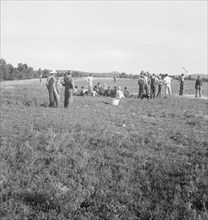 Farmers' baseball game in the country..., near Mountain Home, northern Arkansas, 1938. Creator: Dorothea Lange.