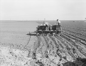 Large-scale, mechanized farming - potato planter, Kern County, California, 1939. Creator: Dorothea Lange.