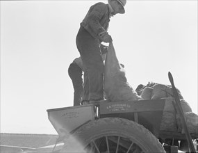 Loading bins of potato planter with fertilizer and seed..., Kern County, California, 1939. Creator: Dorothea Lange.