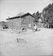 Housing for Negroes in a new district on the edge..., Bakersfield, Kern County, California, 1939. Creator: Dorothea Lange.