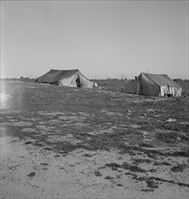 Migrants' tents...the right of way of the Southern Pacific, near Fresno, California, 1939. Creator: Dorothea Lange.