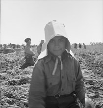 Possibly: Texas woman in carrot pullers' camp, Imperial Valley, California, 1939. Creator: Dorothea Lange.