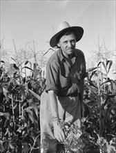 Drought refugee..., Yakima Valley, Washington, 1939. Creator: Dorothea Lange.