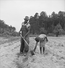 Thirteen year old daughter of Negro sharecropper..., Olive Hill, North Carolina, 1939. Creator: Dorothea Lange.