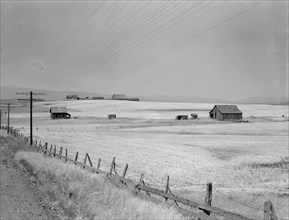 Washington, Klickitat County, near Goldendale, 1939. Creator: Dorothea Lange.