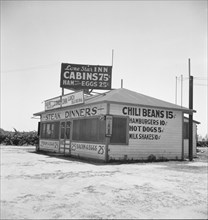 Between Tulare and Fresno on U.S. 99, 1939. Creator: Dorothea Lange.