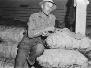 Klamath Basin potato farmer, Tulelake, Siskiyou County, California, 1939. Creator: Dorothea Lange.