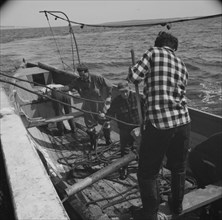 Possibly: On board the fleshing boat Alden, out of Gloucester, Massachusetts, 1943. Creator: Gordon Parks.