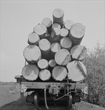 Possibly: Pelican Bay Lumber Company, near Klamath Falls, Klamath County, Oregon, 1939. Creator: Dorothea Lange.