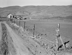 A new house for descendant of old Idaho family..., Gem County, Idaho, 1939. Creator: Dorothea Lange.