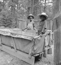 Grandchildren of tobacco sharecropper down at barns, Wake County, North Carolina, 1939. Creator: Dorothea Lange.