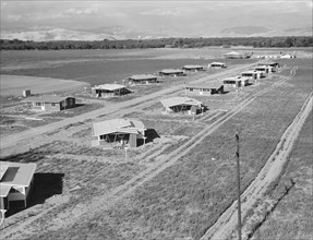 New homes for families on the Mineral King cooperative farms, Tulare County, California, 1939. Creator: Dorothea Lange.