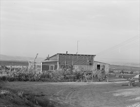 The home of a new farmer who has successfully established himself on the raw land, 1939. Creator: Dorothea Lange.