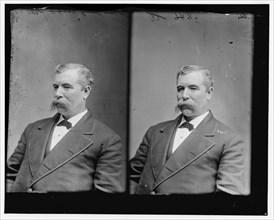 Thomas L. Young of Ohio, 1865-1880. Creator: Unknown.