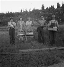 Possibly: This family, like others in the area, raise strawberries..., near Tenino, Washington, 1939 Creator: Dorothea Lange.