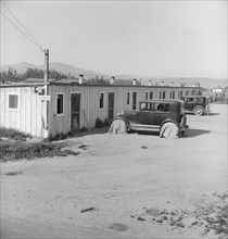 Ten cabins which rent for ten dollars..., Arkansawyers...camp, Greenfield, Salinas Valley, CA, 1939. Creator: Dorothea Lange.