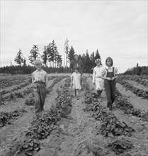 Possibly: The Arnold children and mother on their newly...Michigan Hill, Thurston County, 1939. Creator: Dorothea Lange.