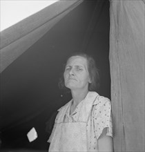 Migrant woman from Arkansas living in contractor's camp near Westley, California, 1939. Creator: Dorothea Lange.