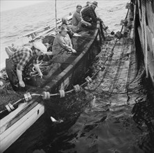 Possibly: Gloucester fishermen pulling in their nets to bring..., Gloucester, Massachusetts, 1943. Creator: Gordon Parks.