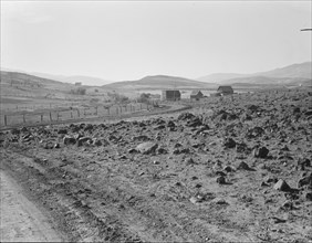 Road up the valley toward Ola self-help sawmill co-op, Gem County, Idaho, 1939. Creator: Dorothea Lange.