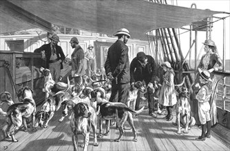 ''A Pack of Foxhounds passing through the Red Sea on their way to India--Early morning exercise', 18 Creator: Unknown.