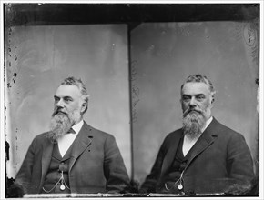 Senator James G. Fair of Nevada, 1865-1880. Creator: Unknown.