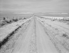 Western wheat country in a region which yields over twenty five..., Umatilla County, Oregon, 1939. Creator: Dorothea Lange.