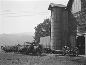 Yard of one of the eight cooperating farmers..., near West Carlton, Yamhill Country, Oregon, 1939. Creator: Dorothea Lange.