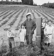 The Arnold children and mother on their newly fenced..., Michigan Hill, Thurston County, 1939. Creator: Dorothea Lange.