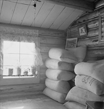 Interior of farmer's two-room log home, FSA borrower, Boundary County, Idaho, 1939. Creator: Dorothea Lange.
